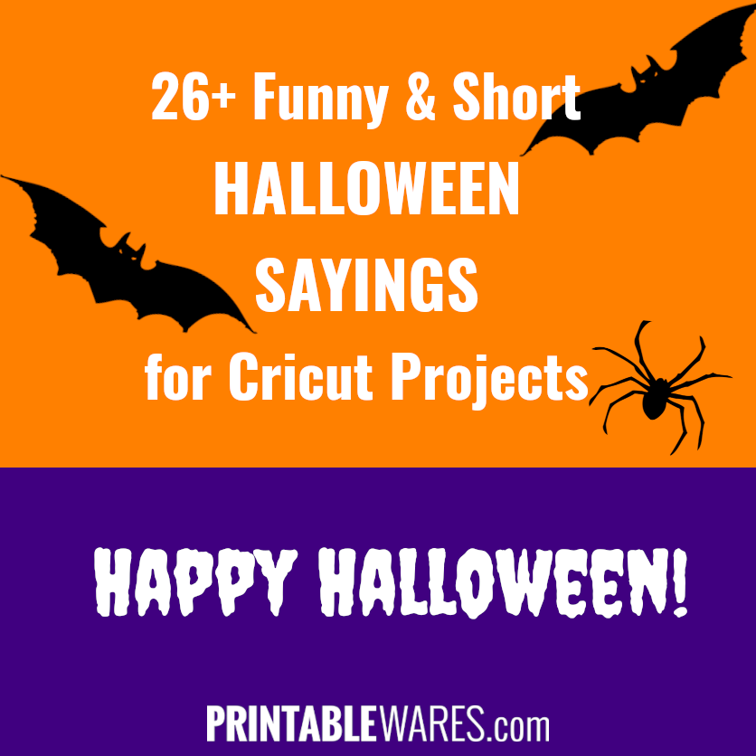 Funny Halloween Sayings for Signs